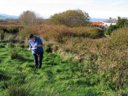 Checking Soil Acidity