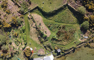 Aerial shot of the Forest Garden